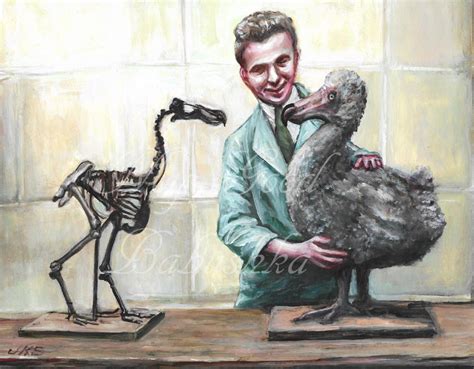 Building a Dodo Bird, Original Painting, Natural History, Bird, Extinct ...