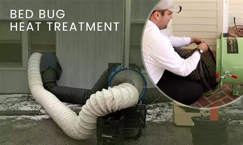 How Long Does Bed Bug Heat Treatment Take