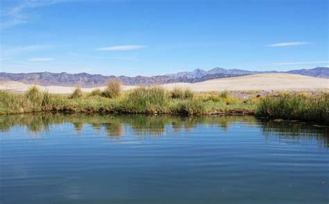 Discover Relaxing Tecopa Hot Springs Near Death Valley