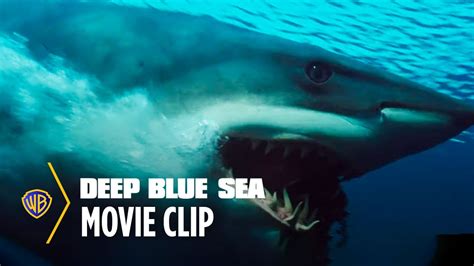 Deep Blue Sea | Shark Escape | Warner Bros. Entertainment - YouTube