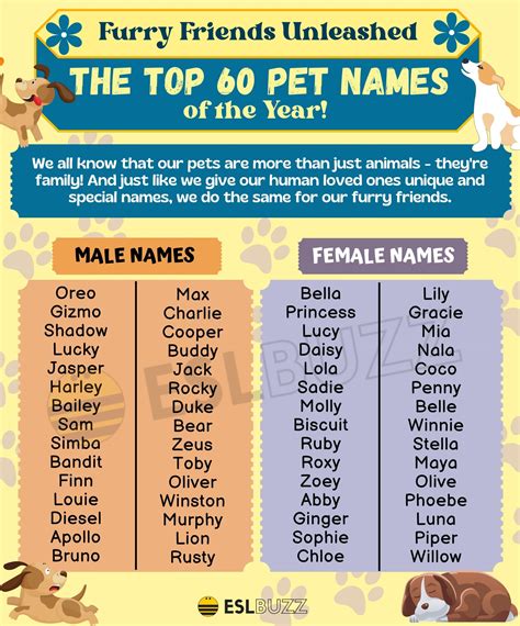 Cute and Creative Pet Names to Learn and Love - ESLBUZZ