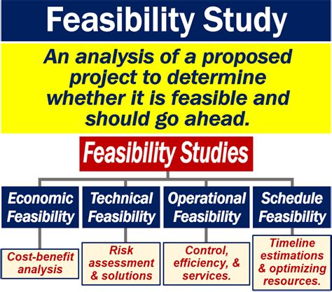 What is a feasibility study? Definition and examples