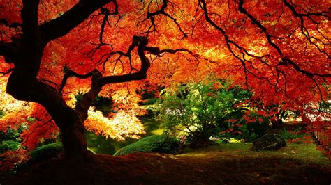 Amazing Fall Scenery Wide Wallpaper 2400x1350PX ~ Japanese Scenery ...