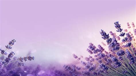 Premium Photo | Lavender flowers background with copy space