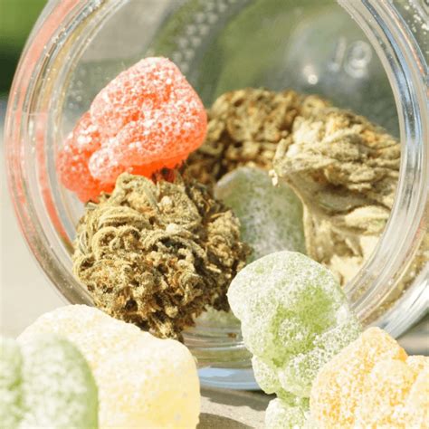 What are Weed Gummies - Bulk Weed