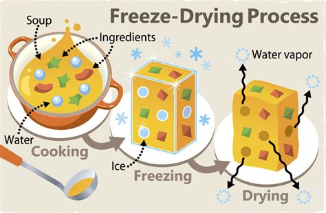 Freeze-Drying Food