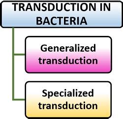 What is Transduction? Definition and Types - Biology Reader