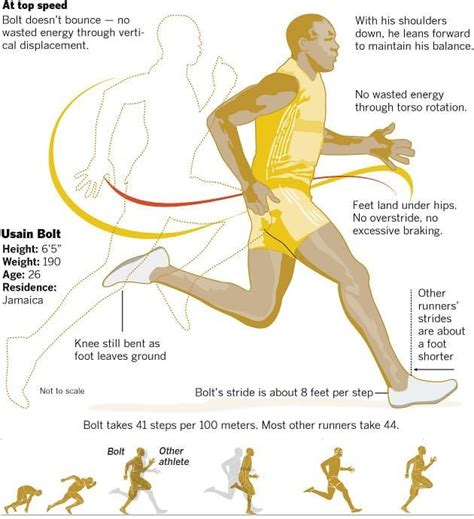 Here's some interesting information on Usain Bolt's sprint mechanics. 😀 ...