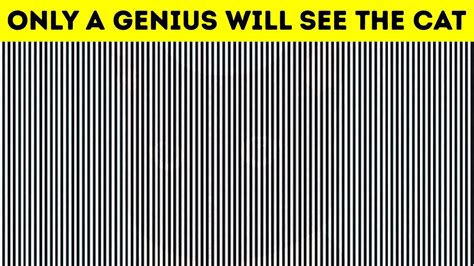 Optical Illusions Brain Teasers Puzzles