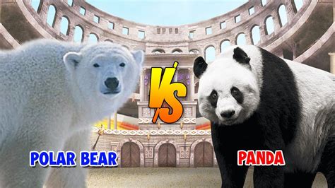 Polar Bear vs Panda | SPORE - YouTube