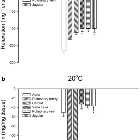 The effect of temperature on vascular smooth muscle: cooling-induced ...