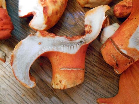 mise en place: Beer-Battered Lobster Mushroom Confessional