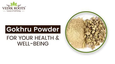 Top 5 Benefits of Gokhru Powder!! – Vedikroots