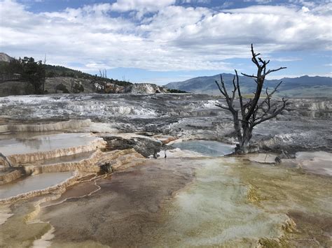 Mammoth Hot Springs Yellowstone National Park. What a geological wonder ...