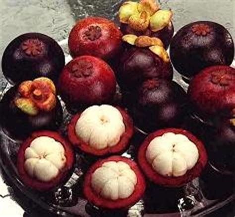 Mangosteen | Recipes Wiki | FANDOM powered by Wikia