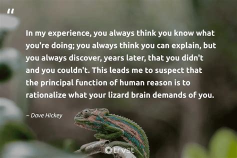 20 Lizard Quotes About The Ancient Adaptable Reptiles