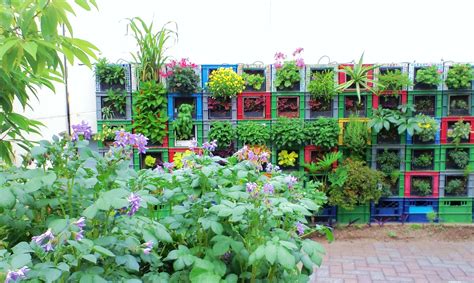 Milk crate Vegetable Vertical garden and potatoes | Vertical garden ...