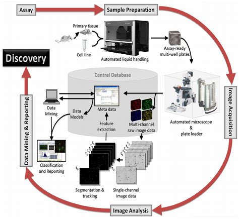 Workflow of our second generation high content screening system for ...