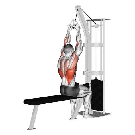 Narrow Grip Lat Pulldown