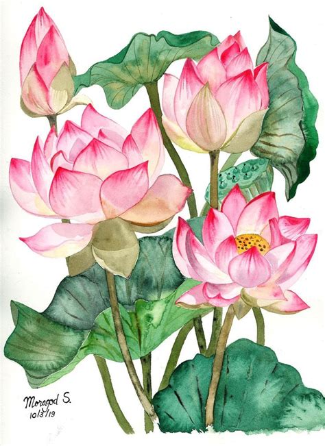 Watercolor Lotus, Lotus Painting, Watercolor Artwork, Silk Painting ...