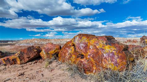 Petrified Forest National Park