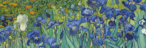 Irises Vincent Van Gogh