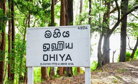 Amazing Places To Travel: Ohiya - Sri Lanka