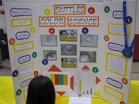 10 Cute Science Project Ideas For Kids 2024