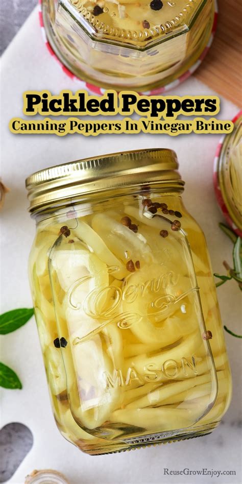 Canning Peppers In Vinegar Brine: Easy Pickled Recipe