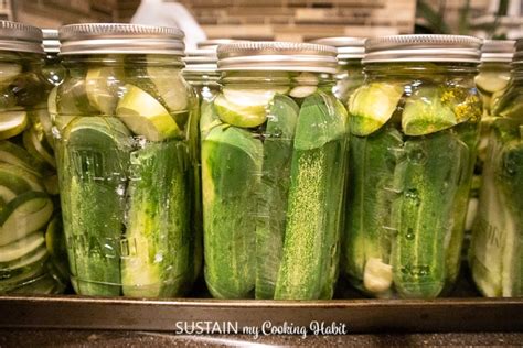 Easy Canning Pickles Recipe - Sustain My Cooking Habit