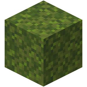 Moss Block | Minecraft Wiki | Fandom