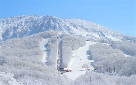 Mt. Zao Skiing | Miyagi Attractions | Travel Japan | JNTO