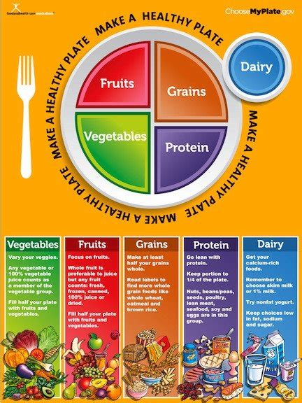 Amazon.com: Nutrition Education Store Póster MyPlate : Hogar y Cocina