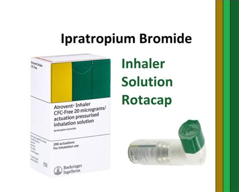 Ipratropium Bromide: Uses, Side Effects, and More - Phonemantra