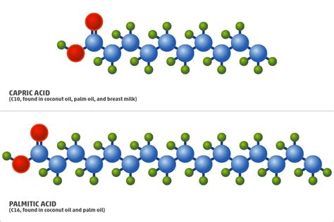 The Truth About Saturated Fat: Definitive Guide [+ Examples]