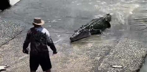 Viral video: Man challenges crocodile to rescue son's hat