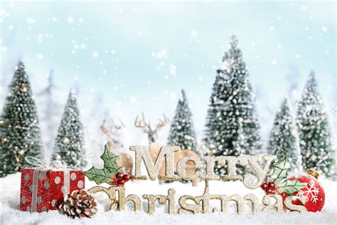 Christmas Snow Gifts Fir Tree Wallpaper