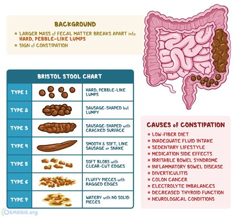 Pebble Poop: What Is It, Causes, Treatment, and More