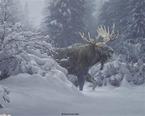 Bull Moose art | Изображение дикой прироты, Художник, Живопись