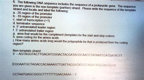 SOLVED: The following DNA sequence you are given is Ihe non includes ...