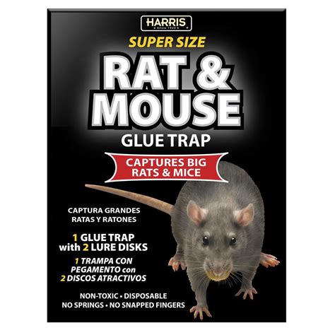 Harris Rat and Mouse Glue Trap - Super Size with Lure-BLKRAT-1 - The ...