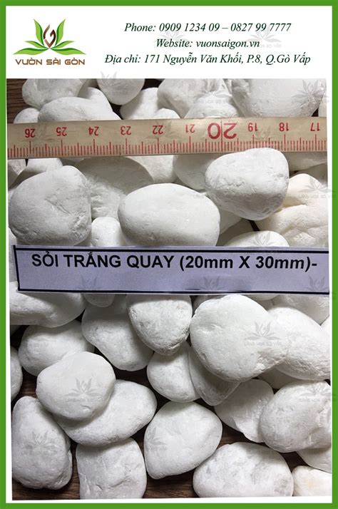 Sỏi trắng bao - Sỏi màu trang trí tiểu cảnh, sân vườn 12kg | Vườn Sài Gòn