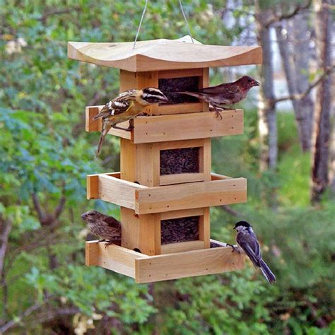 Finch Bird Feeder Plans