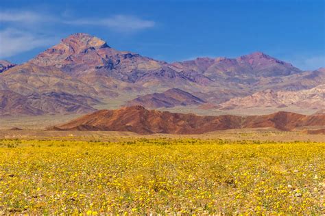 Death Valley National Park Visit: What You Should Know