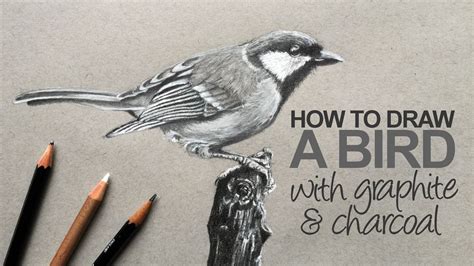 How To Draw A Realistic Bird Step By Step