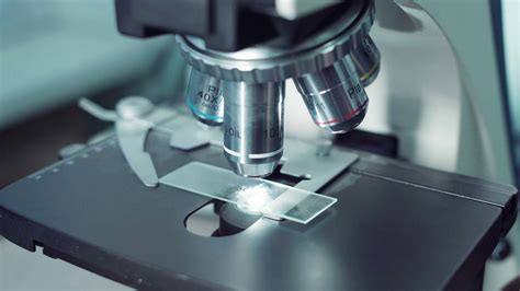 Laboratory Technologist Using Microscope To Stock Footage SBV-312818241 ...