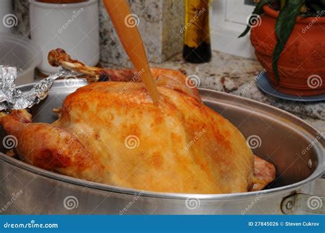 Basting A Thanksgiving Turkey Royalty Free Stock Image - Image: 27845026