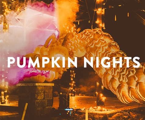 Pumpkin Nights | Learn about the Pumpkin Nights experience