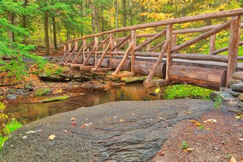 Autumn Log Bridge - HDR - Free Stock Photo by Nicolas Raymond on ...