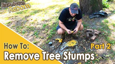 DIY: Easiest And Cheapest TREE STUMP REMOVAL - 3 Month Update! - YouTube